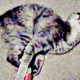 Illustration for article titled Roll Call